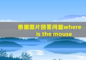 根据图片回答问题where is the mouse